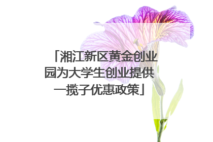 湘江新区黄金创业园为大学生创业提供一揽子优惠政策