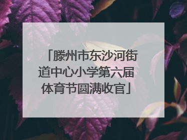 滕州市东沙河街道中心小学第六届体育节圆满收官