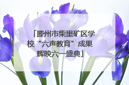 滕州市柴里矿区学校“六声教育”成果辉映六一盛典