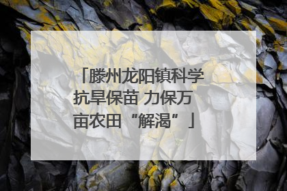 滕州龙阳镇科学抗旱保苗 力保万亩农田“解渴”