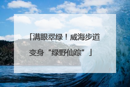 满眼翠绿！威海步道变身“绿野仙踪”