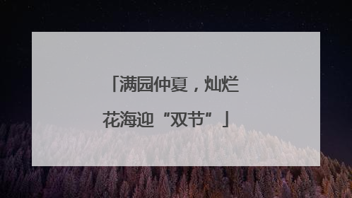 满园仲夏，灿烂花海迎“双节”