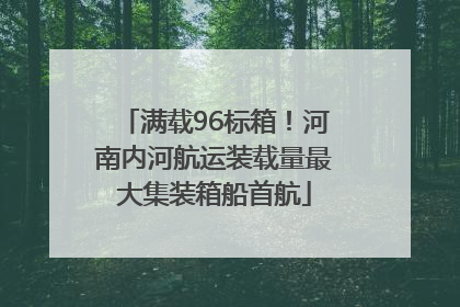 满载96标箱！河南内河航运装载量最大集装箱船首航