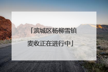 滨城区杨柳雪镇麦收正在进行中