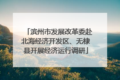 滨州市发展改革委赴北海经济开发区、无棣县开展经济运行调研