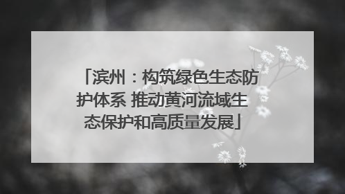 滨州：构筑绿色生态防护体系 推动黄河流域生态保护和高质量发展
