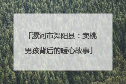 漯河市舞阳县：卖桃男孩背后的暖心故事