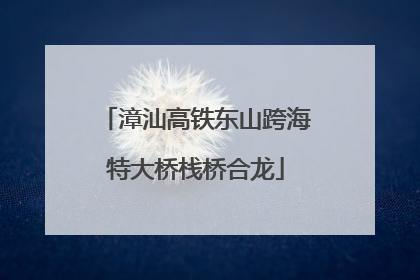 漳汕高铁东山跨海特大桥栈桥合龙