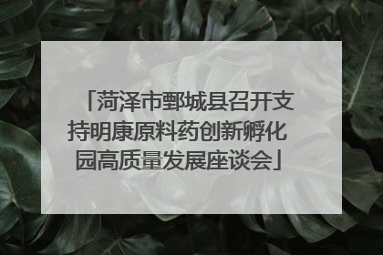 菏泽市鄄城县召开支持明康原料药创新孵化园高质量发展座谈会