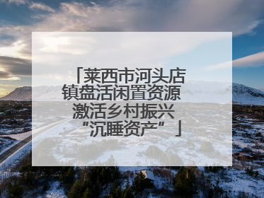 莱西市河头店镇盘活闲置资源 激活乡村振兴“沉睡资产”