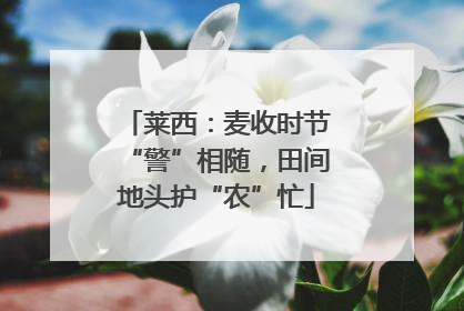 莱西：麦收时节“警”相随，田间地头护“农”忙