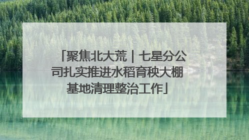 聚焦北大荒｜七星分公司扎实推进水稻育秧大棚基地清理整治工作