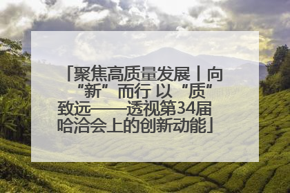 聚焦高质量发展丨向“新”而行 以“质”致远——透视第34届哈洽会上的创新动能