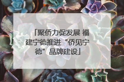 聚侨力促发展 福建宁德推进“侨见宁德”品牌建设