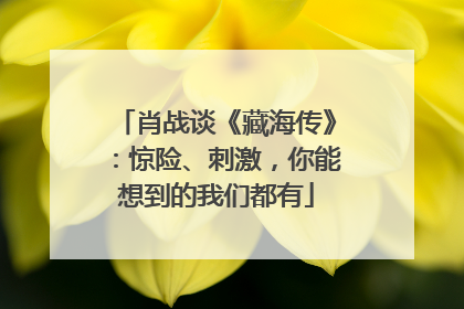 肖战谈《藏海传》：惊险、刺激，你能想到的我们都有