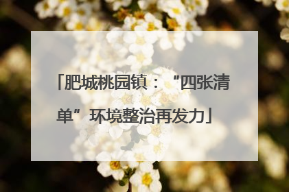肥城桃园镇：“四张清单”环境整治再发力