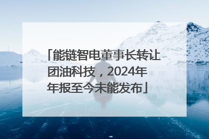 能链智电董事长转让团油科技，2024年年报至今未能发布