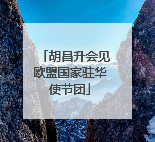 胡昌升会见欧盟国家驻华使节团
