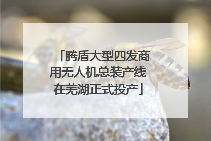 腾盾大型四发商用无人机总装产线在芜湖正式投产