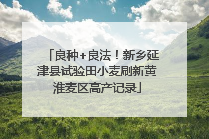 良种+良法！新乡延津县试验田小麦刷新黄淮麦区高产记录