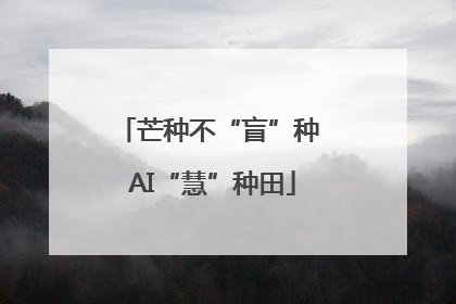 芒种不“盲”种 AI“慧”种田