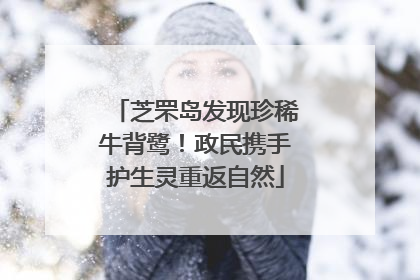 芝罘岛发现珍稀牛背鹭！政民携手护生灵重返自然