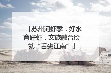 苏州河虾季：好水育好虾，文旅融合绘就“舌尖江南”