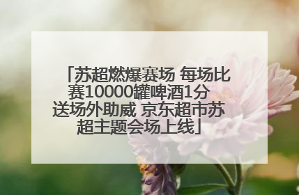苏超燃爆赛场 每场比赛10000罐啤酒1分送场外助威 京东超市苏超主题会场上线