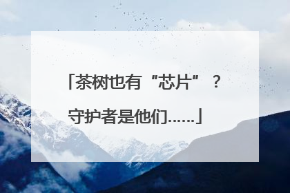 茶树也有“芯片”？守护者是他们……