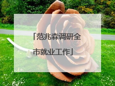 范兆森调研全市就业工作