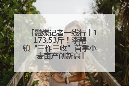 融媒记者一线行丨1173.53斤！李鹊镇“三作三收”首季小麦亩产创新高