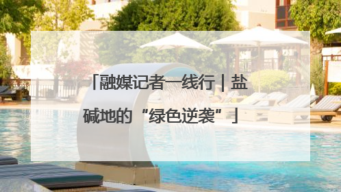 融媒记者一线行｜盐碱地的“绿色逆袭”
