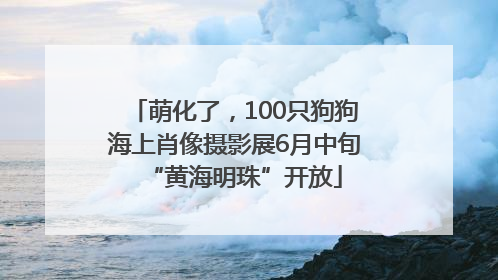 萌化了，100只狗狗海上肖像摄影展6月中旬“黄海明珠”开放