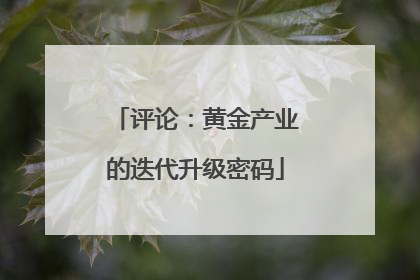 评论：黄金产业的迭代升级密码