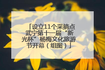 设立11个采摘点 武宁第十一届“新光杯”杨梅文化旅游节开幕（组图）