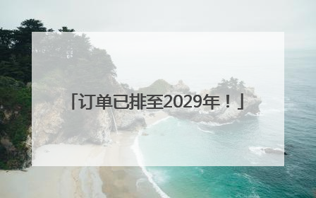 订单已排至2029年！
