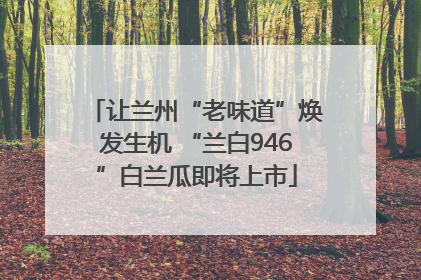 让兰州“老味道”焕发生机 “兰白946”白兰瓜即将上市