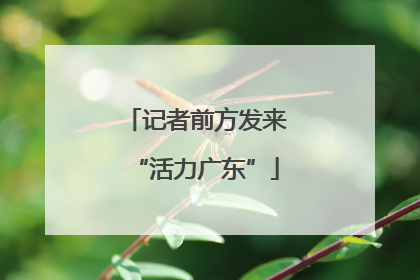 记者前方发来“活力广东”