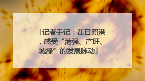 记者手记：在日照港，感受“港强、产旺、城绿”的发展脉动
