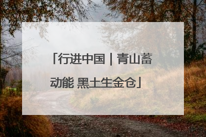 行进中国｜青山蓄动能 黑土生金仓