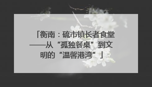 衡南：硫市镇长者食堂——从“孤独餐桌”到文明的“温馨港湾”