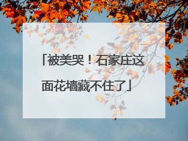 被美哭！石家庄这面花墙藏不住了