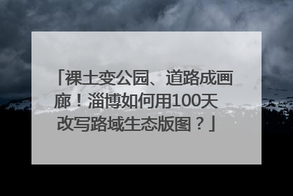 裸土变公园、道路成画廊！淄博如何用100天改写路域生态版图？