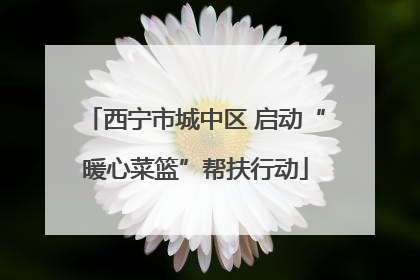 西宁市城中区 启动“暖心菜篮”帮扶行动