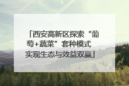 西安高新区探索“葡萄+蔬菜”套种模式 实现生态与效益双赢