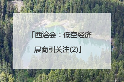 西洽会：低空经济展商引关注(2)
