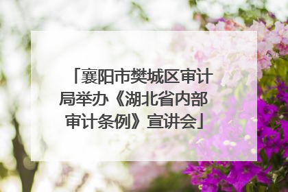 襄阳市樊城区审计局举办《湖北省内部审计条例》宣讲会