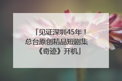 见证深圳45年！总台原创精品短剧集《奇迹》开机
