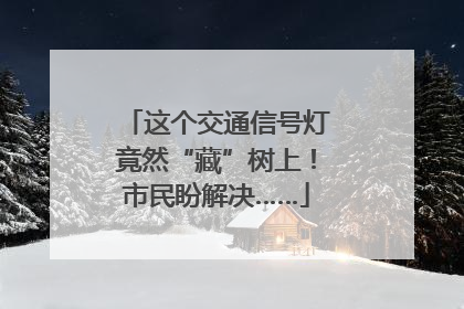 这个交通信号灯竟然“藏”树上！市民盼解决……