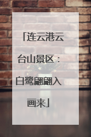 连云港云台山景区：白鹭翩翩入画来